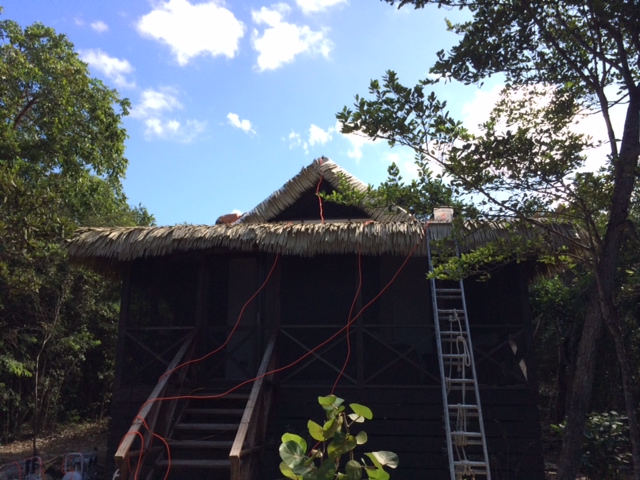 Tiamo Resort(palm thatch)6.jpg